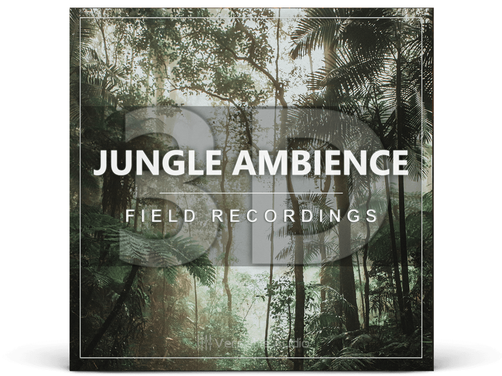 3D Jungle Ambience Field Recordings