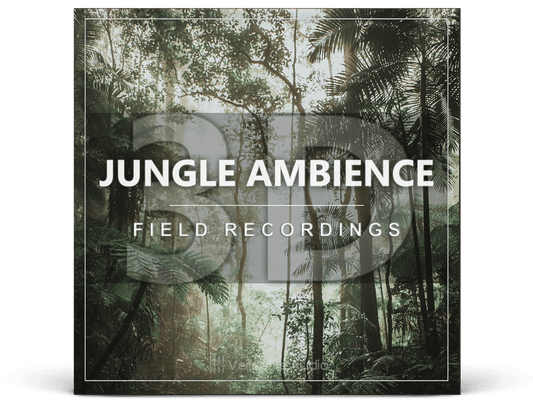 3D Jungle Ambience Field Recordings