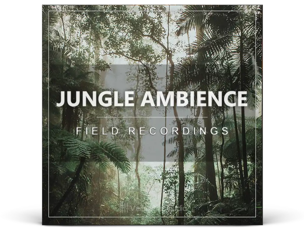 3D Jungle Ambience Field Recordings